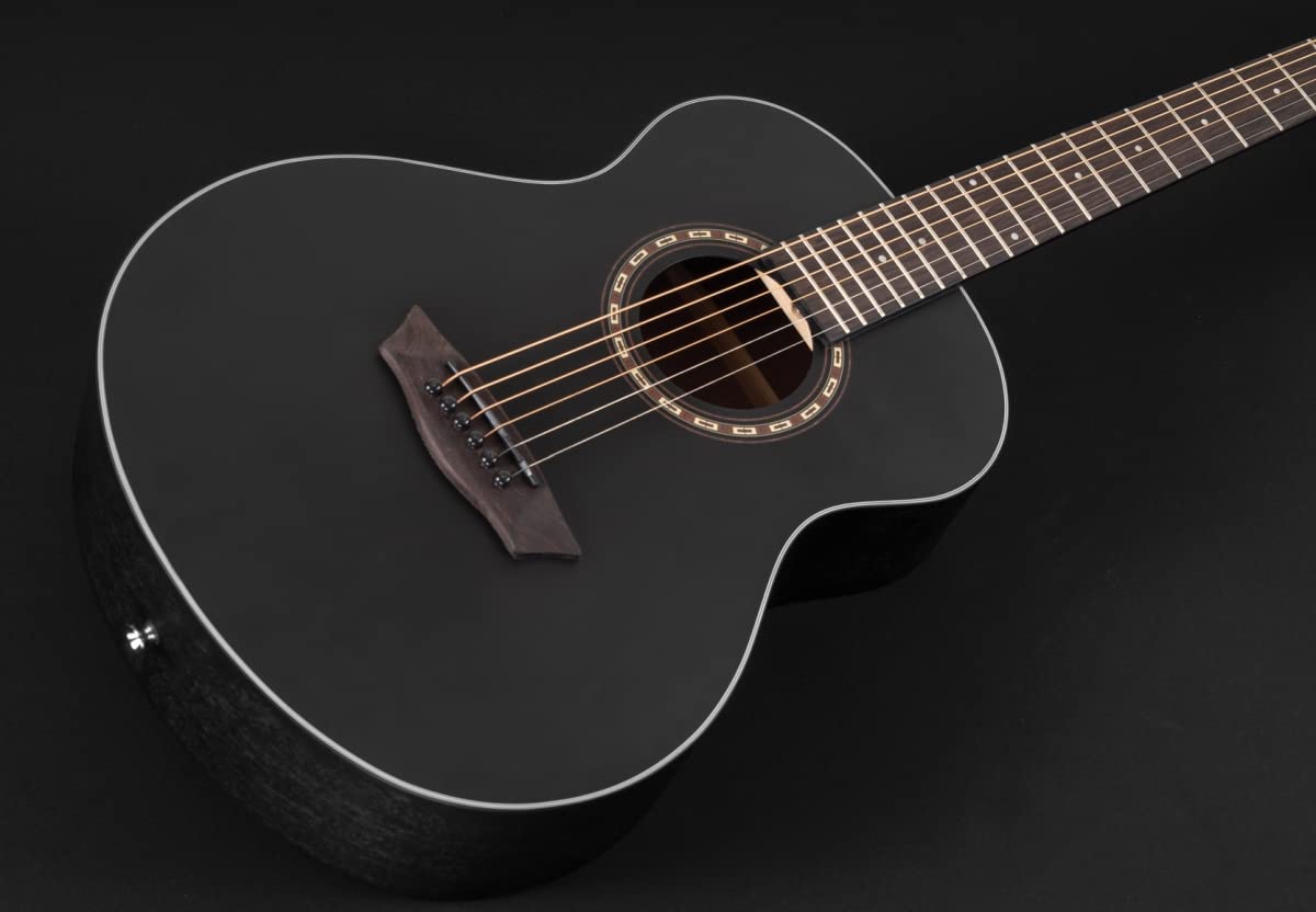 Amazon.com: Washburn Apprentice Series 6 String Acoustic Guitar